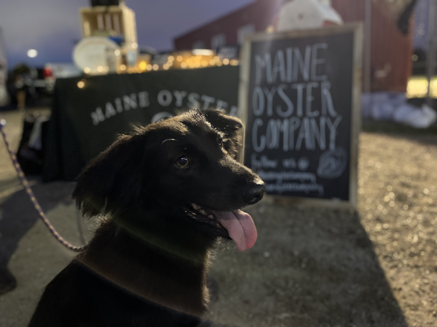 Kaela at Thompons Point